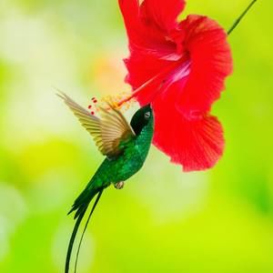 Meet your Posher, Quan